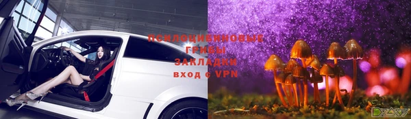 гидропоника Армянск