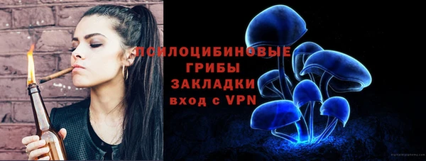 гидропоника Армянск