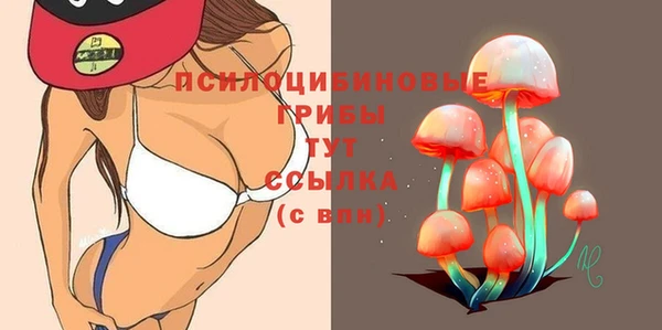 гидропоника Армянск