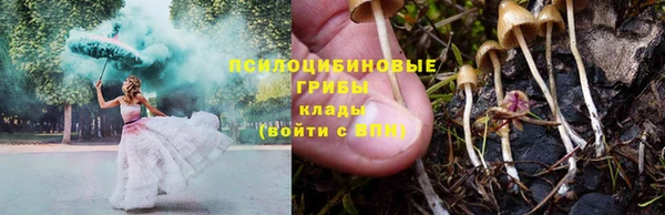 гидропоника Армянск