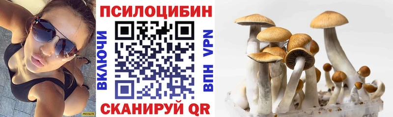 Псилоцибиновые грибы прущие грибы  как найти наркотики  Учалы 